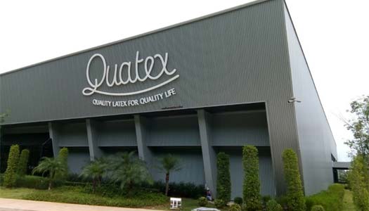 Showroom Quatex Natural Latex